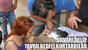 DUVARI DELİP YAVRU KEDİYİ KURTARDILAR