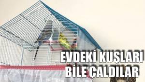 EVDEKİ KUŞLARI BİLE ÇALDILAR