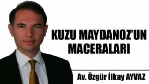 KUZU MAYDANOZ'UN MACERALARI