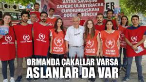 ORMANDA ÇAKALLAR VARSA ASLANLAR DA VAR