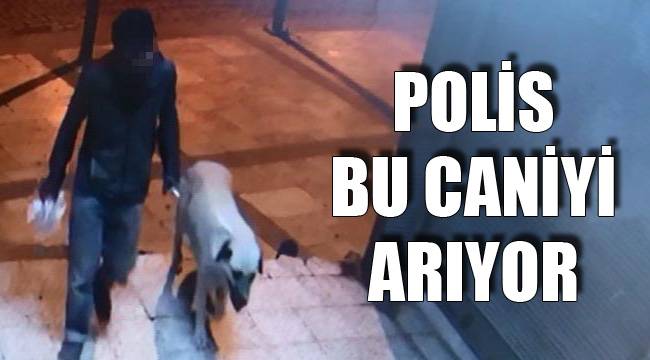 POLİS BU CANİYİ ARIYOR