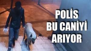 POLİS BU CANİYİ ARIYOR