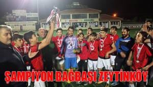 ŞAMPİYON BAĞBAŞI ZEYTİNKÖY