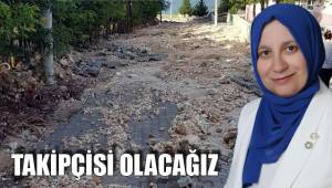 TAKİPÇİSİ OLACAĞIZ