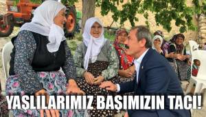 YAŞLILARIMIZ BAŞIMIZIN TACI!