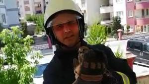 Davetsiz misafir