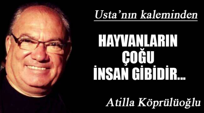 HAYVANLARIN ÇOĞU İNSAN GİBİDİR...