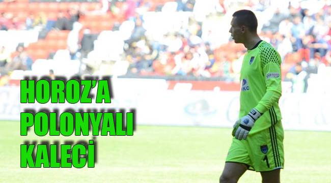 HOROZ’A POLONYALI KALECİ