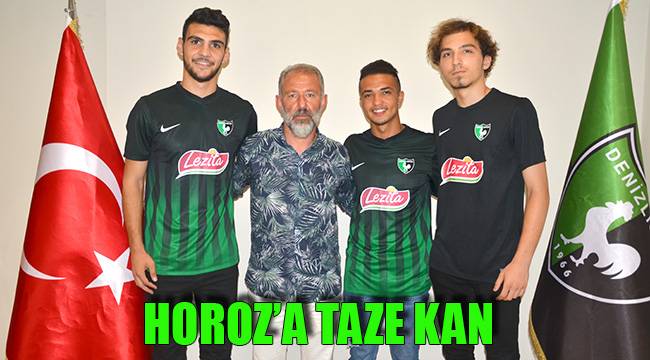 HOROZ'A TAZE KAN