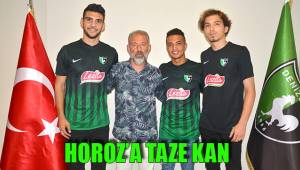 HOROZ'A TAZE KAN
