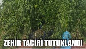 JANDARMADAN UYUŞTURUCU OPERASYONU