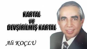 KARTAL ve DEVŞİRİLMİŞ KARTAL