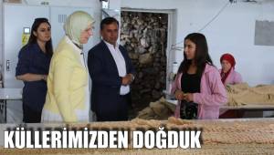 KÜLLERİMİZDEN DOĞDUK