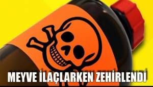 MEYVE İLAÇLARKEN ZEHİRLENDİ