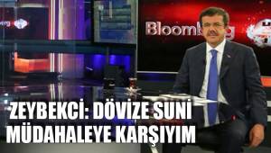 ZEYBEKCİ: SUNİ MÜDAHALEYE KARŞIYIM