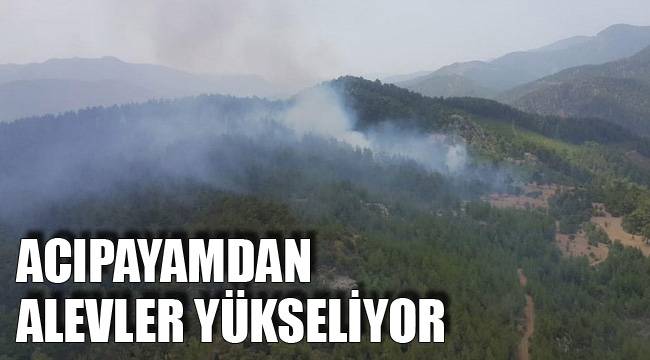 ACIPAYAMDAN ALEVLER YÜKSELİYOR