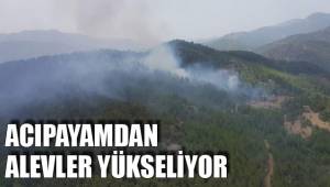 ACIPAYAMDAN ALEVLER YÜKSELİYOR