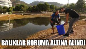 BALIKLAR KORUMA ALTINA ALINDI