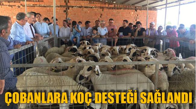 ÇOBANLARA KOÇ DESTEĞİ SAĞLANDI