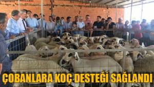 ÇOBANLARA KOÇ DESTEĞİ SAĞLANDI