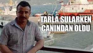 GENÇ SİYASETÇİNİN HAZİN SONU