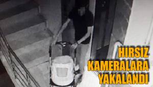 HIRSIZ KAMERALARA YAKALANDI