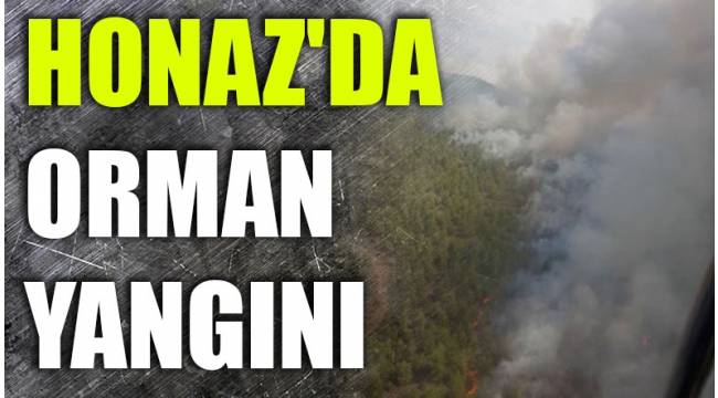 HONAZ'DA ORMAN YANGINI