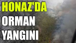 HONAZ'DA ORMAN YANGINI