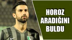 HOROZ ARADIĞINI BULDU