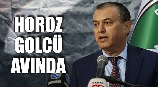 HOROZ GOLCÜ AVINDA