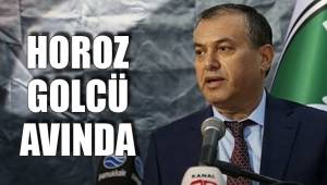 HOROZ GOLCÜ AVINDA