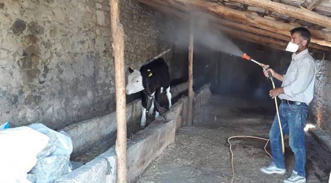 İLAÇLAMA ÇALIŞMALARI SÜRÜYOR