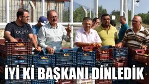 TAVAS OVASINDAN BEREKET FIŞKIRIYOR