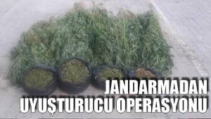 JANDARMADAN UYUŞTURUCU OPERASYONU