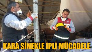 KARA SİNEKLE İPLİ MÜCADELE