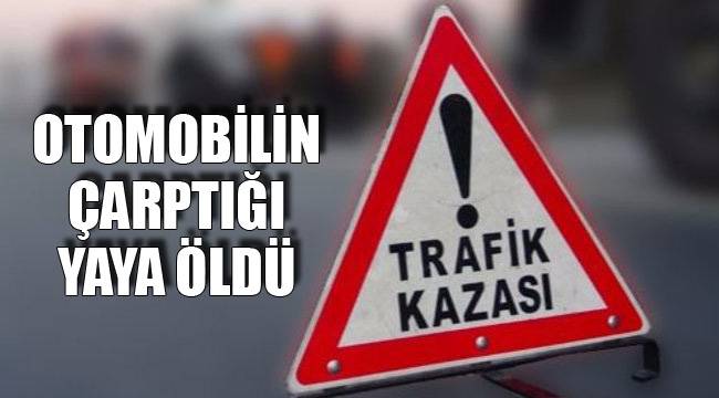 OTOMOBİLİN ÇARPTIĞI YAYA ÖLDÜ