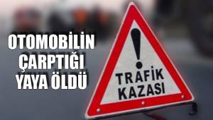 OTOMOBİLİN ÇARPTIĞI YAYA ÖLDÜ