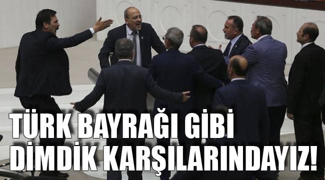 TÜRK BAYRAĞI GİBİ DİMDİK KARŞILARINDAYIZ!