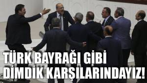 TÜRK BAYRAĞI GİBİ DİMDİK KARŞILARINDAYIZ!