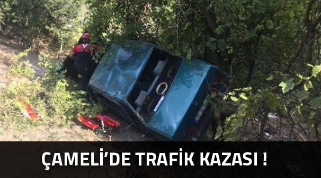 Çameli'de Trafik Kazası
