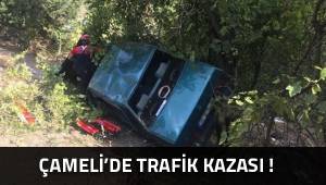 Çameli'de Trafik Kazası