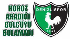 DENİZLİSPOR ARADIĞI GOLCÜYÜ BULAMADI