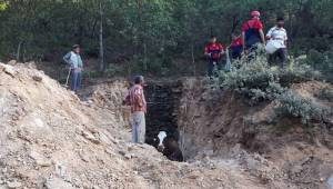 GEBE İNEK KURTARILDI