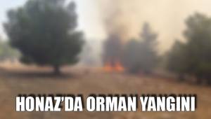 HONAZ’DA ORMAN YANGINI