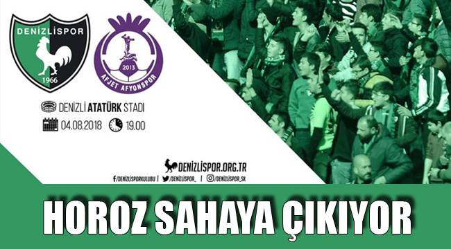 HOROZ SAHAYA ÇIKIYOR