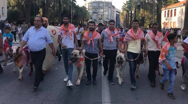 KINALI KOÇLARDAN GÖVDE GÖSTERİSİ
