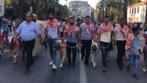 KINALI KOÇLARDAN GÖVDE GÖSTERİSİ