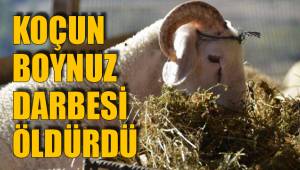 KURBANLIK KOÇ ÖLÜM SEBEBİ OLDU
