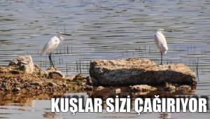 KUŞLAR SİZİ ÇAĞIRIYOR