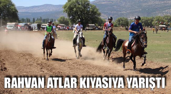 RAHVAN ATLAR KIYASIYA YARIŞTI